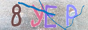 キャプチャ画像