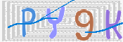 キャプチャ画像