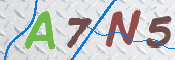 キャプチャ画像